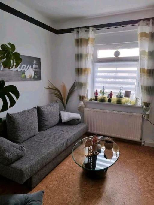 Ferienwohnung *Zur Weinbergstrasse* Lauta エクステリア 写真