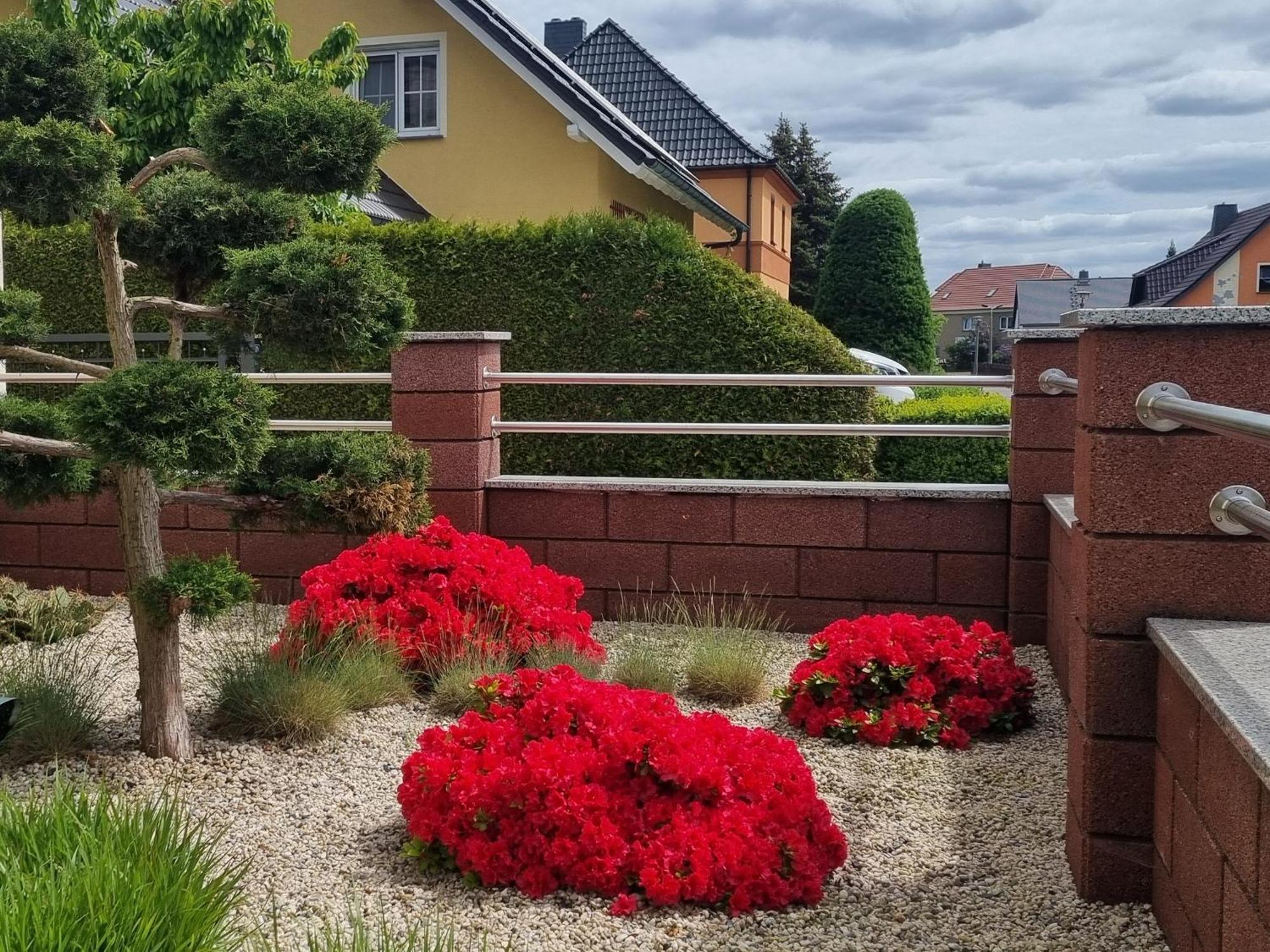 Ferienwohnung *Zur Weinbergstrasse* Lauta エクステリア 写真